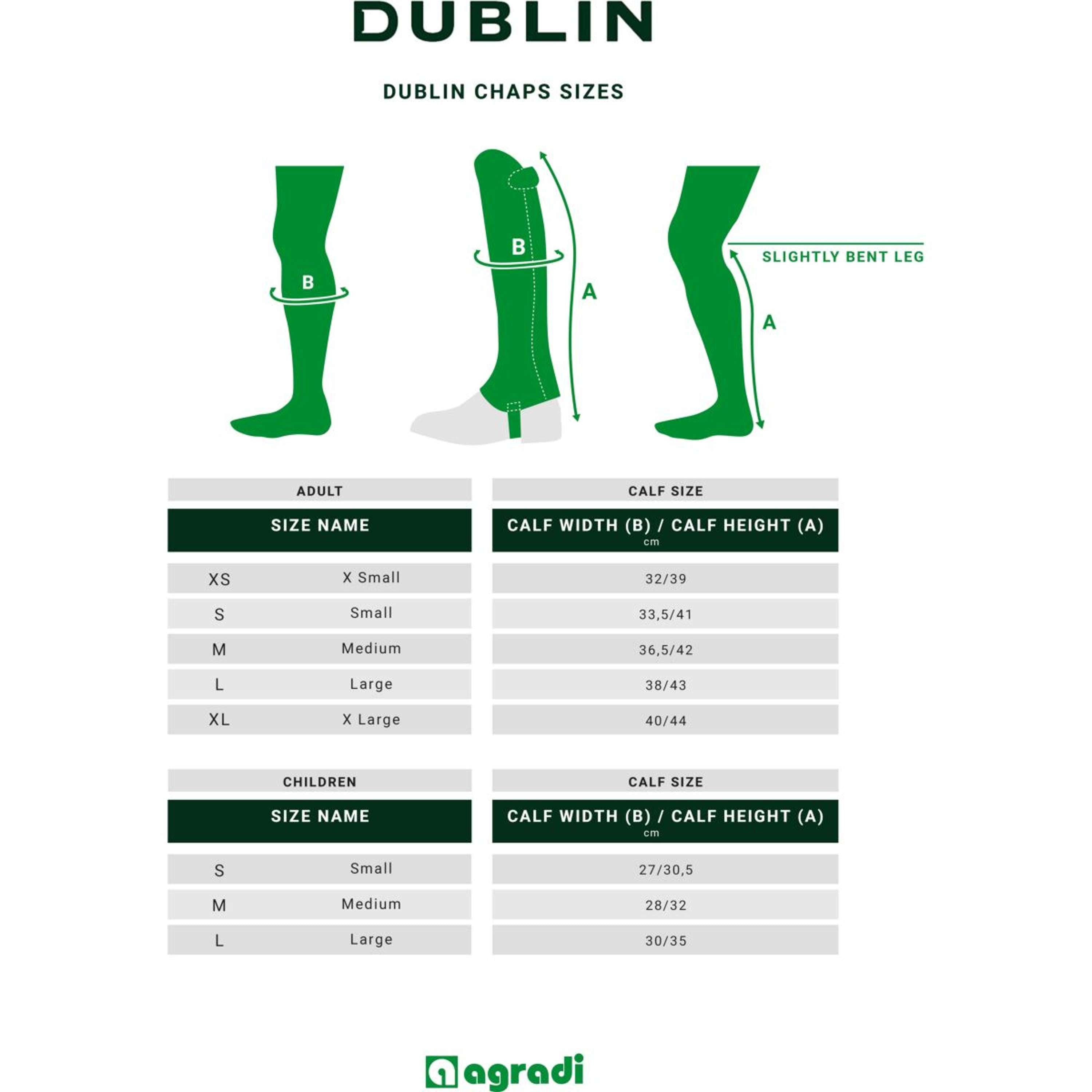 Dublin Chaps Suede Marron