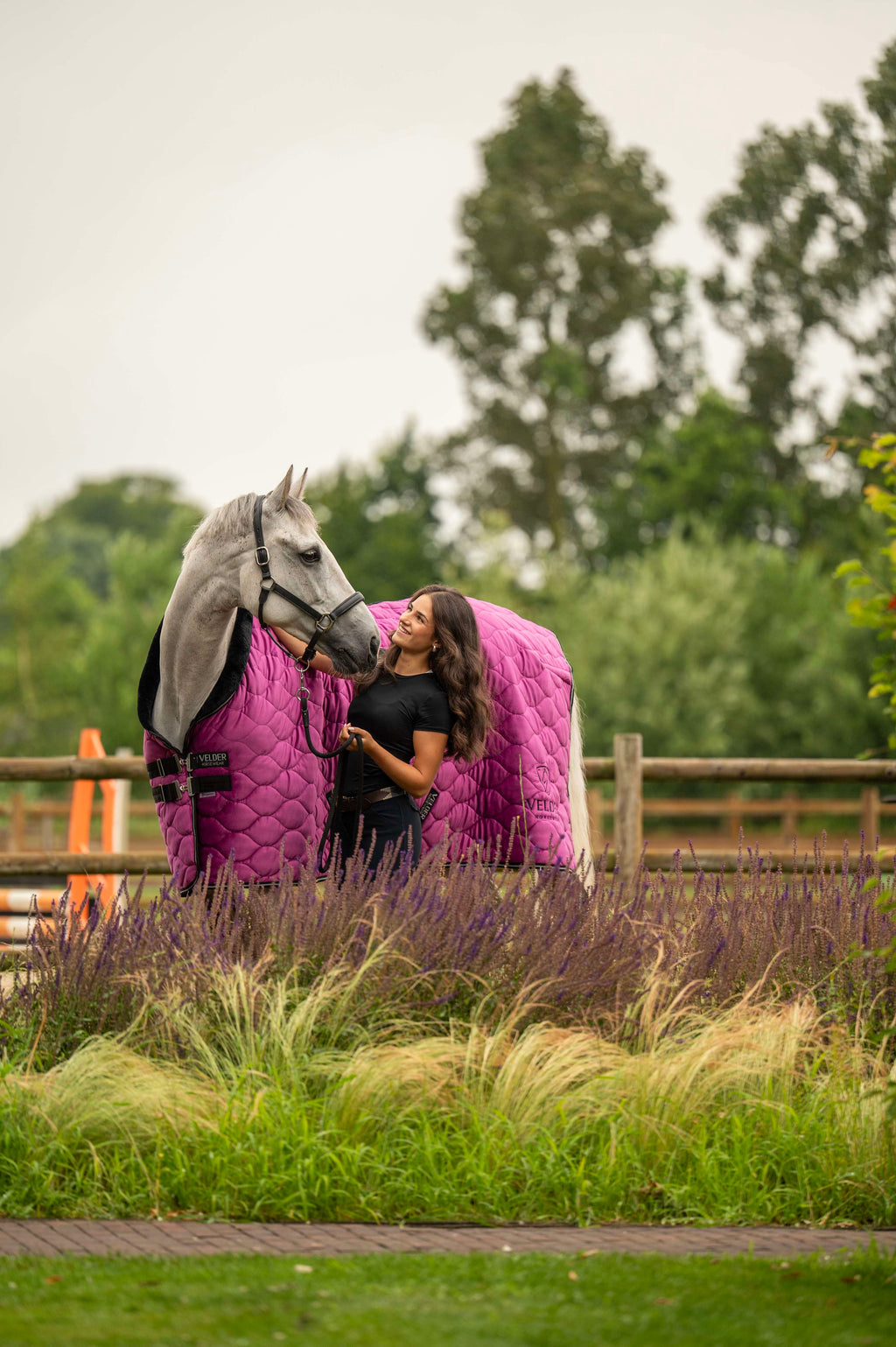 Velder Horsewear Premium Couverture de Concours Satin Glow Dutch Raspberry
