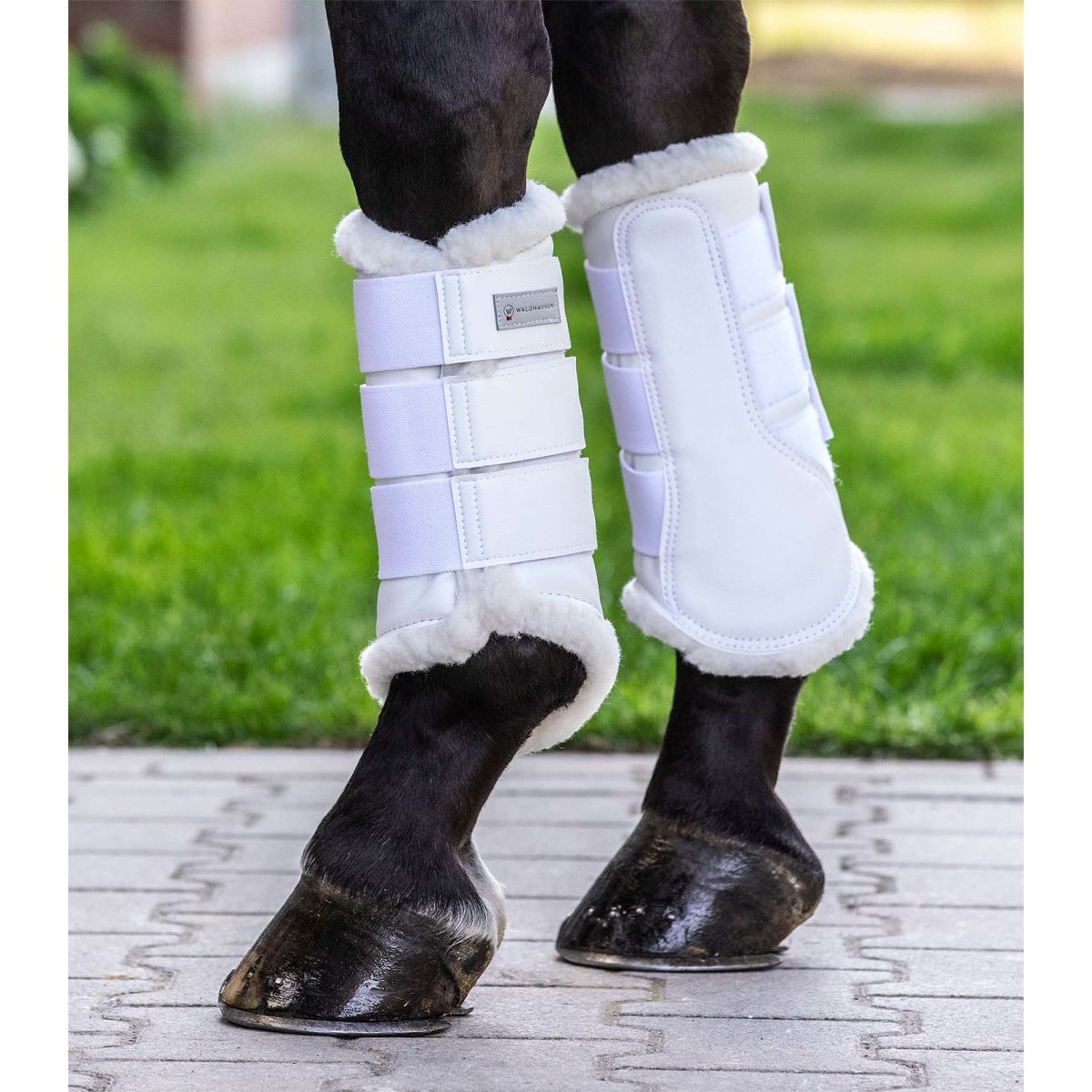 Waldhausen Guêtres Soft Dressage Blanc Waldhausen Guêtres Soft Dressage Blanc