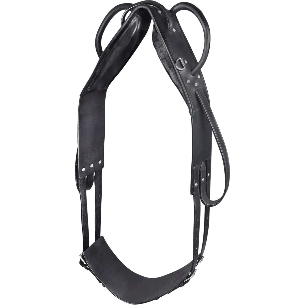 Waldhausen Surfaix de Voltige Noir