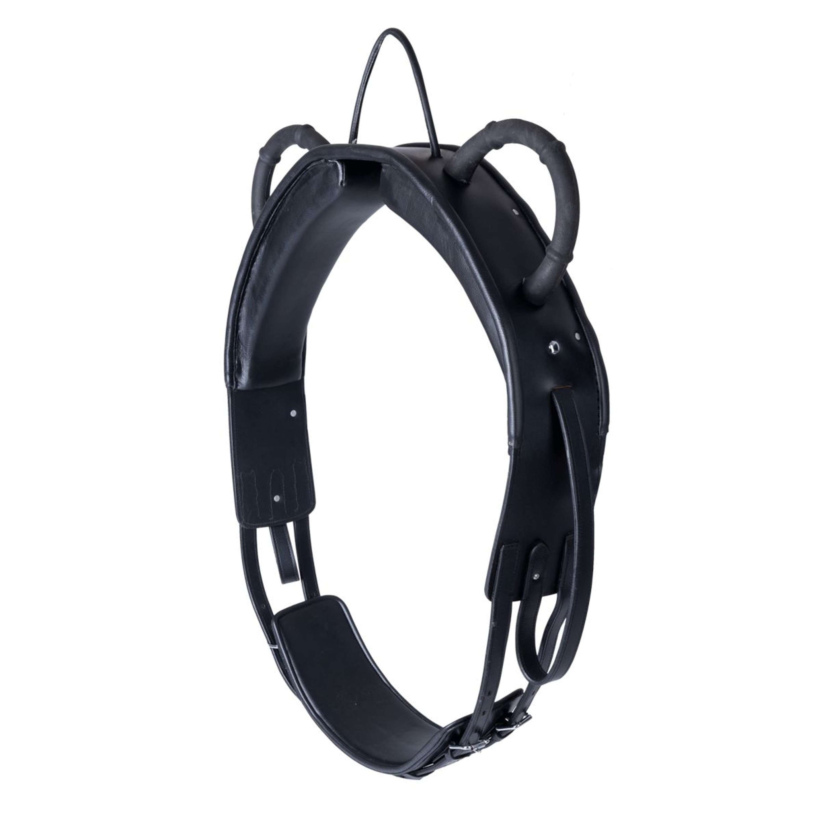 Waldhausen Surfaix de Voltige Training Noir Waldhausen Surfaix de Voltige Training Noir