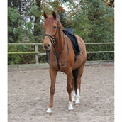 Star Martingale Noir