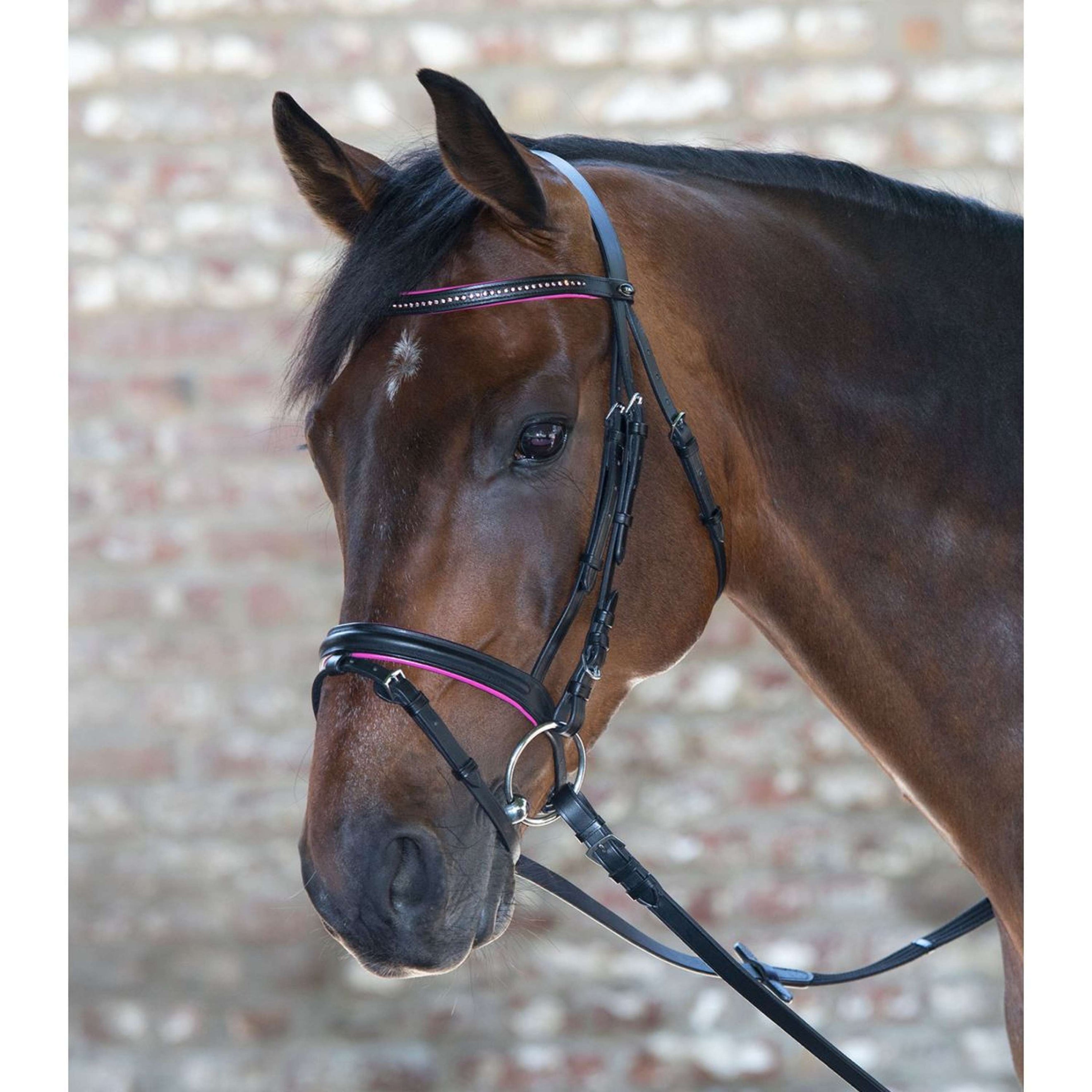 Star Bridon Diamond Anglais Combiné Fuchsia Star Bridon Diamond Anglais Combiné Fuchsia