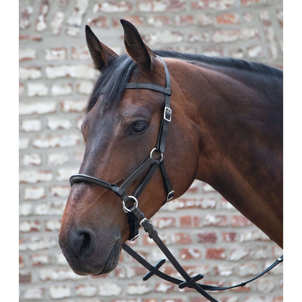 Waldhausen Bridon sans Mors Linda Tellington Jones Noir