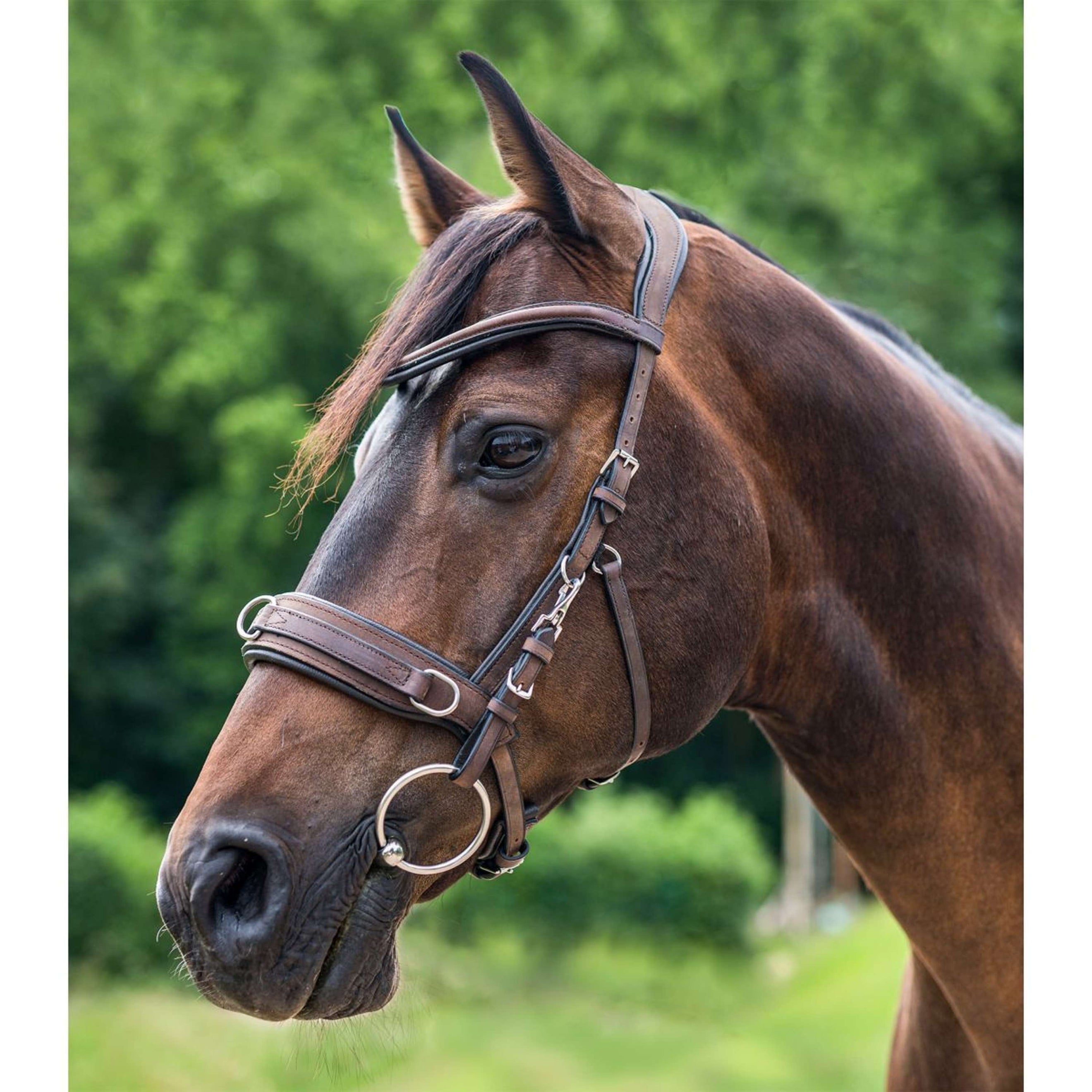 Waldhausen Bridon Caveçon Anatomique Marron Waldhausen Bridon Caveçon Anatomique Marron
