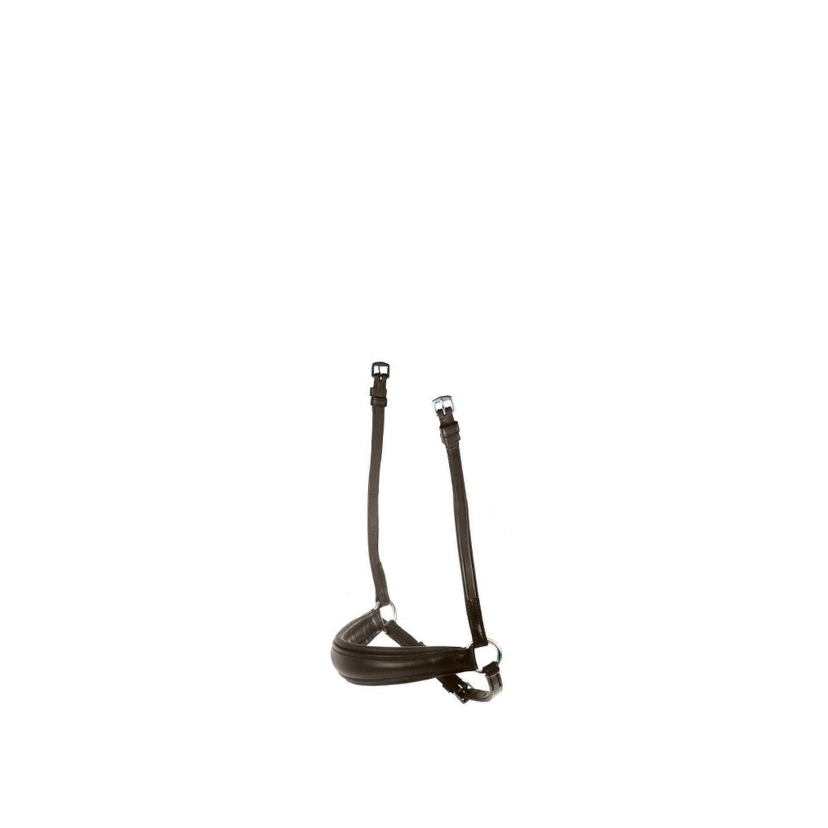 Collegiate Muserolle Allemande Marron Collegiate Muserolle Allemande Marron