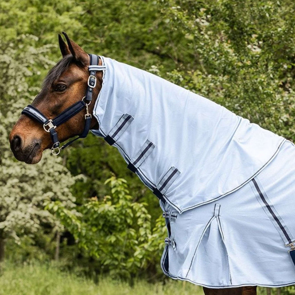 Waldhausen Couvre-Cou Protect Bleu clair