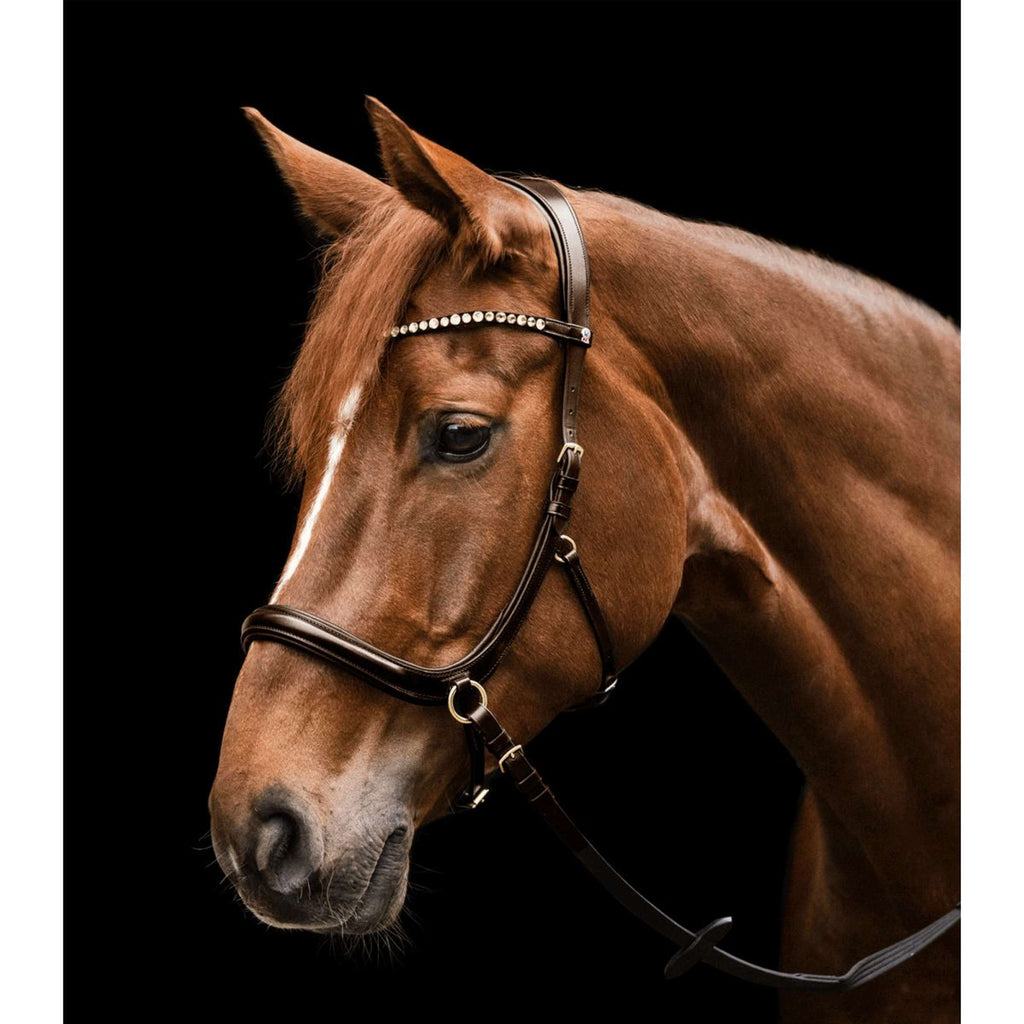Waldhausen Bridon X-Line Sensation Marron