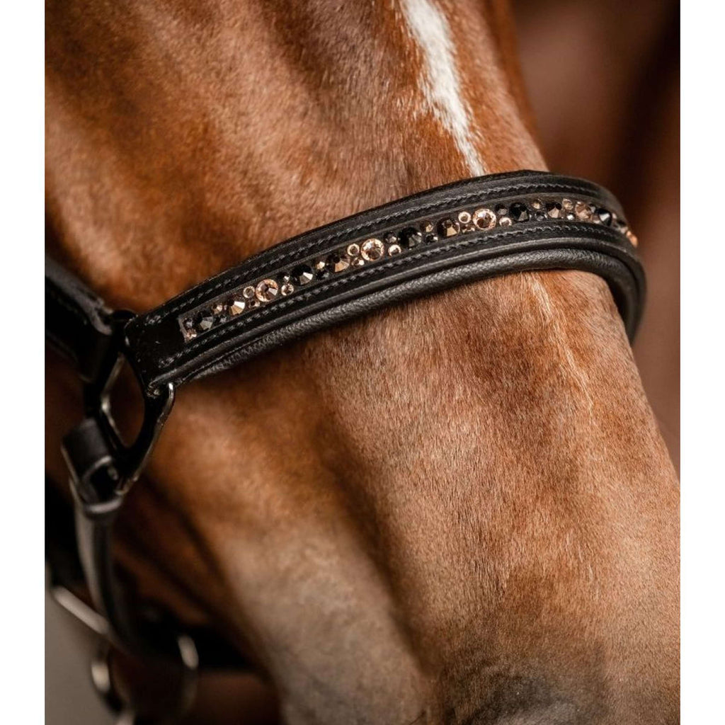 Waldhausen Licol Crystal Cuir Noir/Gris