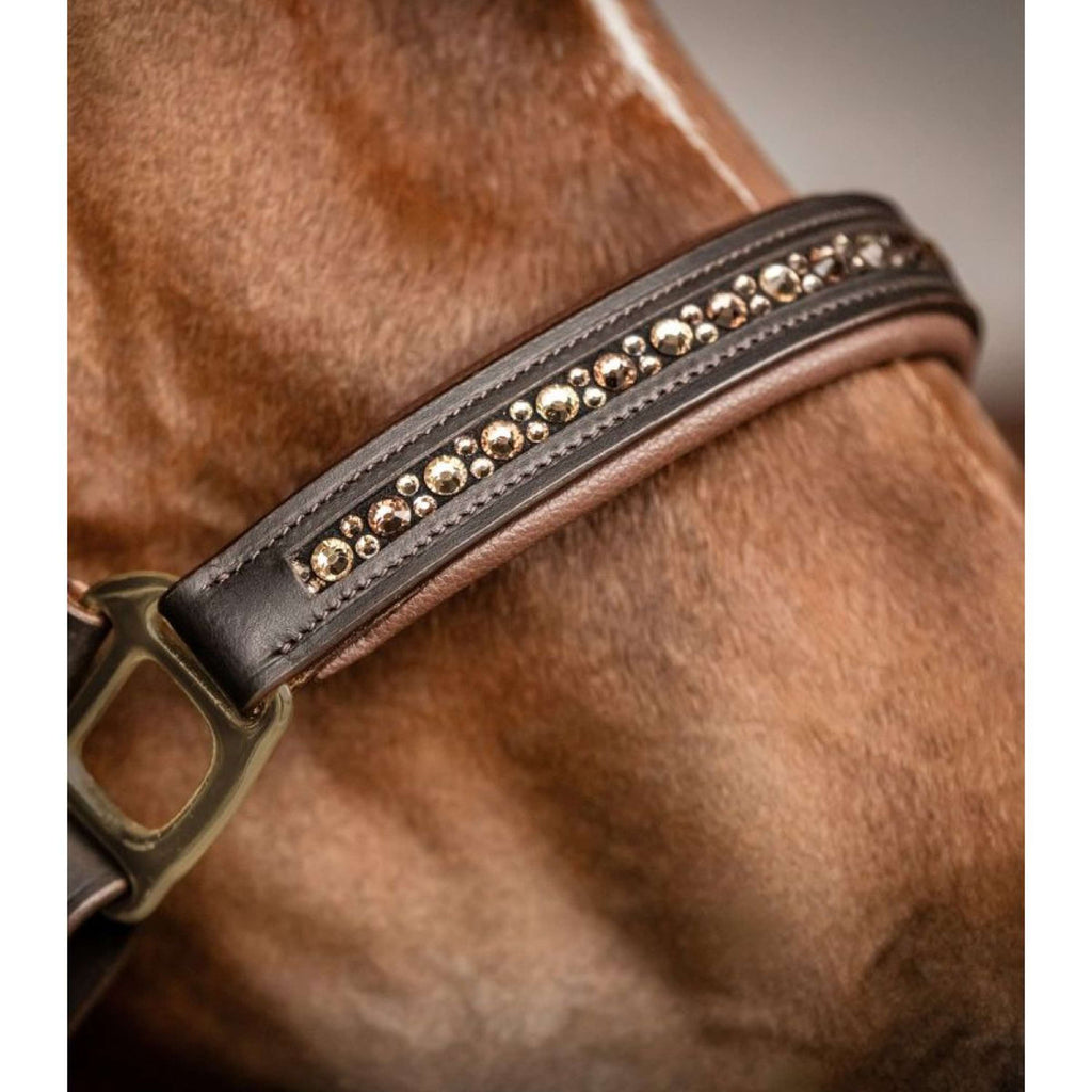 Waldhausen Licol Crystal Cuir Marron/or