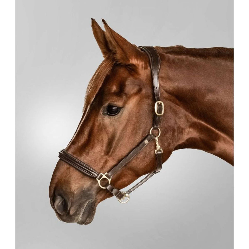 Waldhausen Licol S-Line Classy Marron