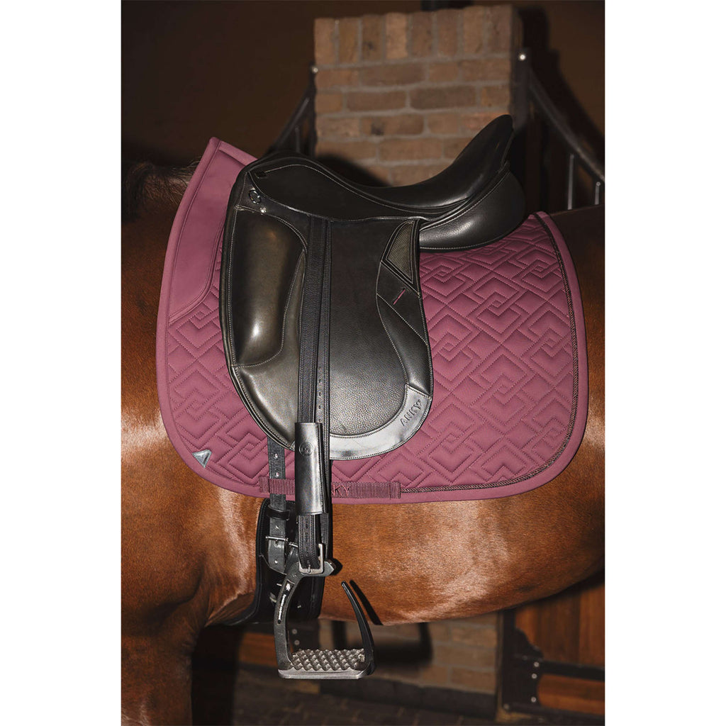 ANKY Tapis de Selle Professional XB25001 3C Dressage Sassafras