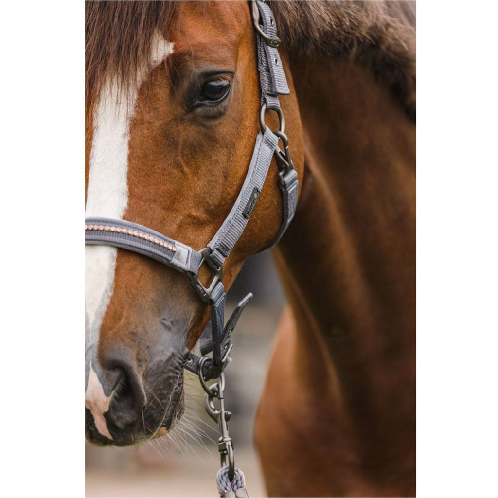 LeMieux Hobby Horse Vogue Ensemble Licol Steel Grey