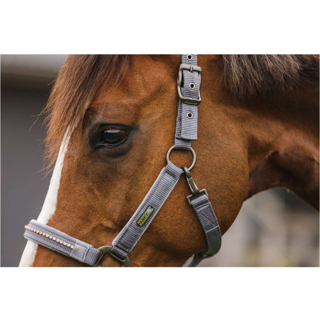 LeMieux Hobby Horse Vogue Ensemble Licol Steel Grey