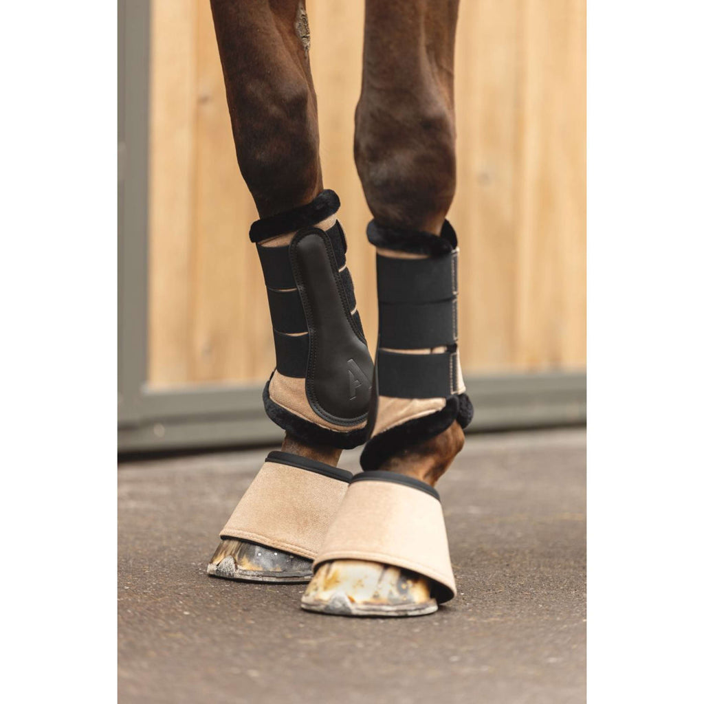 ANKY Cloches d'Obstacles AW25 Amphora