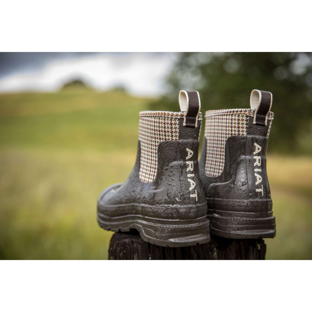 Ariat Jodhpurs Kelmarsh Shortie Femme Chocolate/Tan Twill