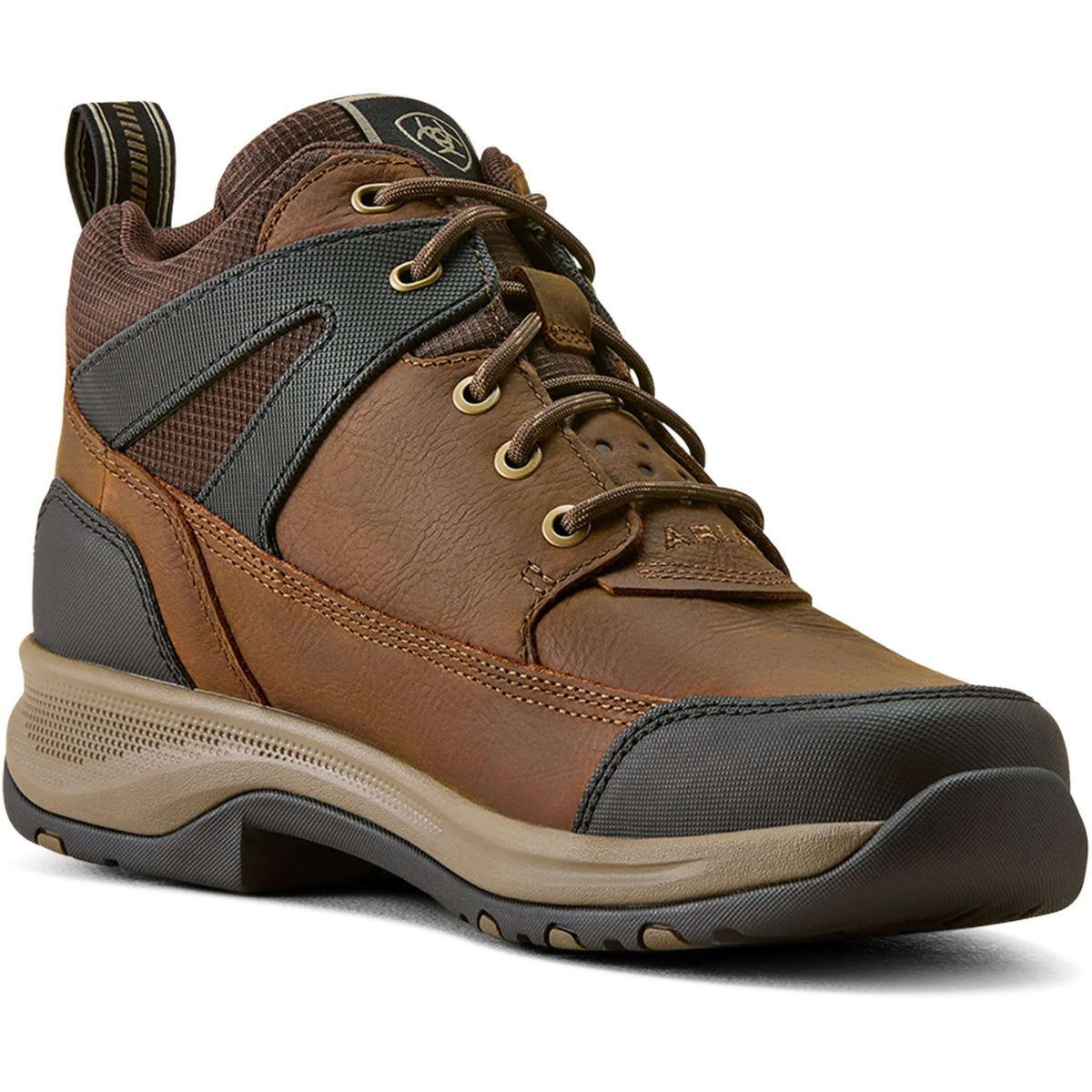 Ariat Chaussures d'Écurie Terrain Trek H2O Hommes Chocolat foncé