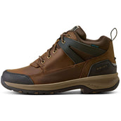 Ariat Chaussures d'Écurie Terrain Trek H2O Hommes Chocolat foncé
