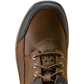 Ariat Chaussures d'Écurie Terrain Trek H2O Hommes Chocolat foncé
