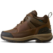 Ariat Chaussures d'Écurie Terrain Trek H2O Femme Chocolat foncé