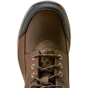 Ariat Chaussures d'Écurie Terrain Trek H2O Femme Chocolat foncé