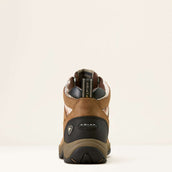 Ariat Chaussures d'Écurie Terrain Femme Dark Tan/Natural Southwest Print