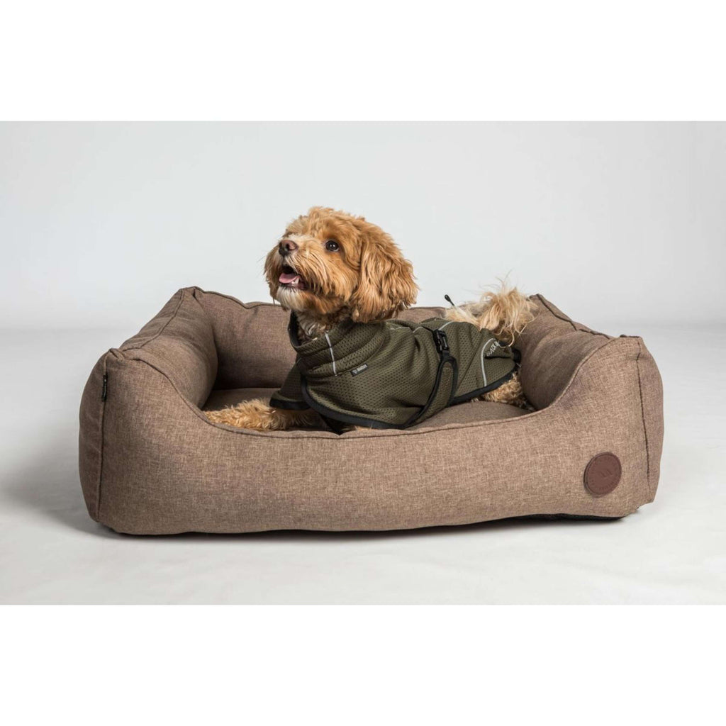 Back on Track Veste pour Chien BAY Mesh Olive