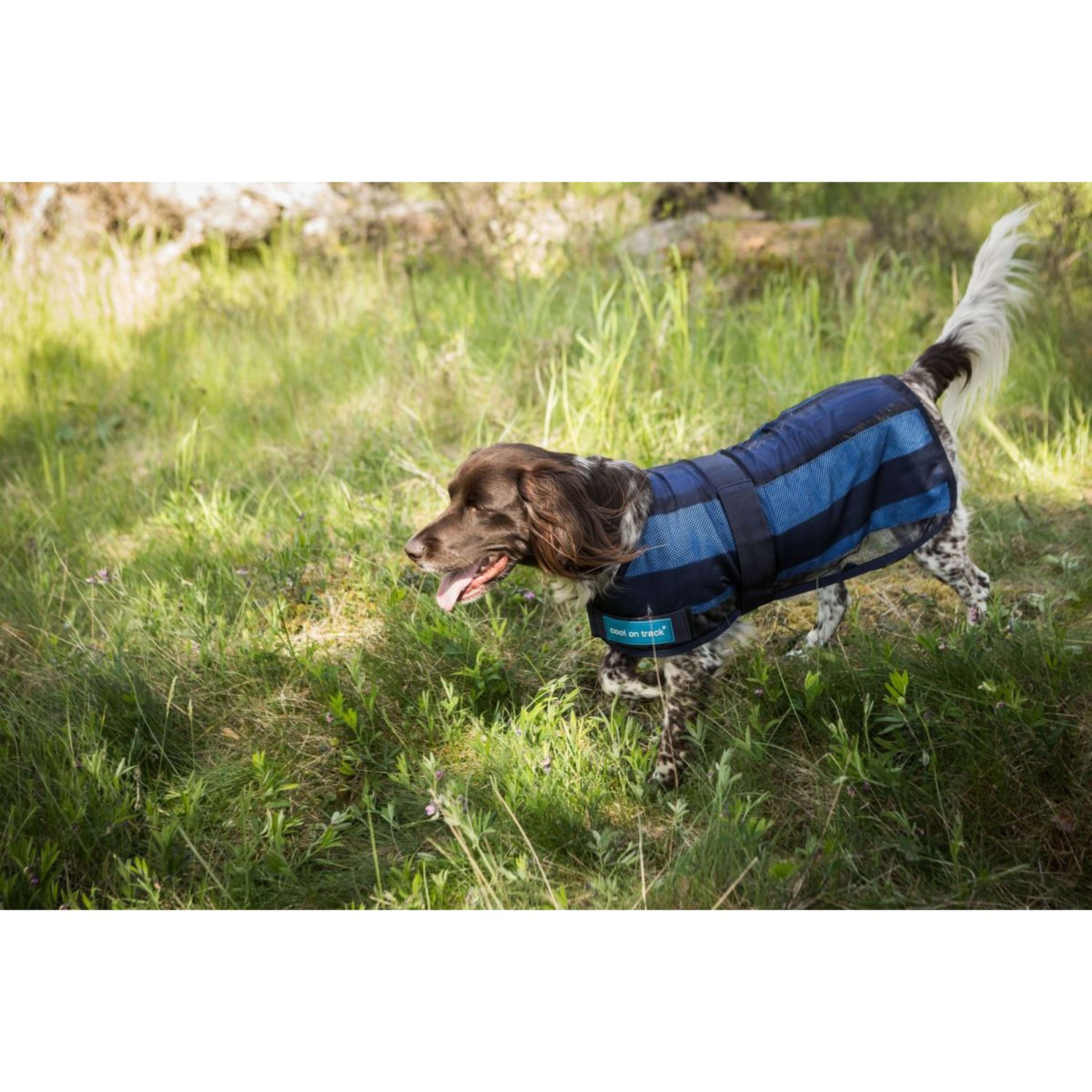 Cool on Track Veste pour Chien 2.0 Bleu