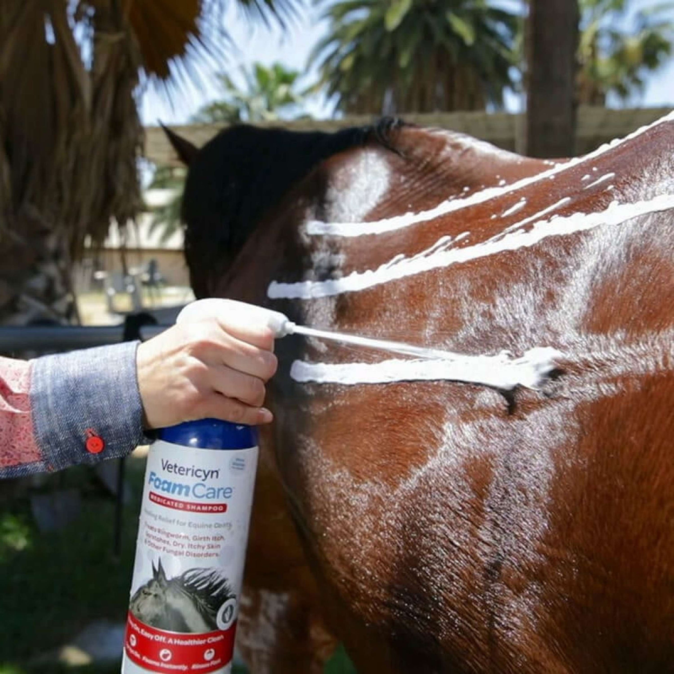 Vetericyn Foamcare Shampooing Cheval Premiers Secours Vetericyn Foamcare Shampooing Cheval Premiers Secours