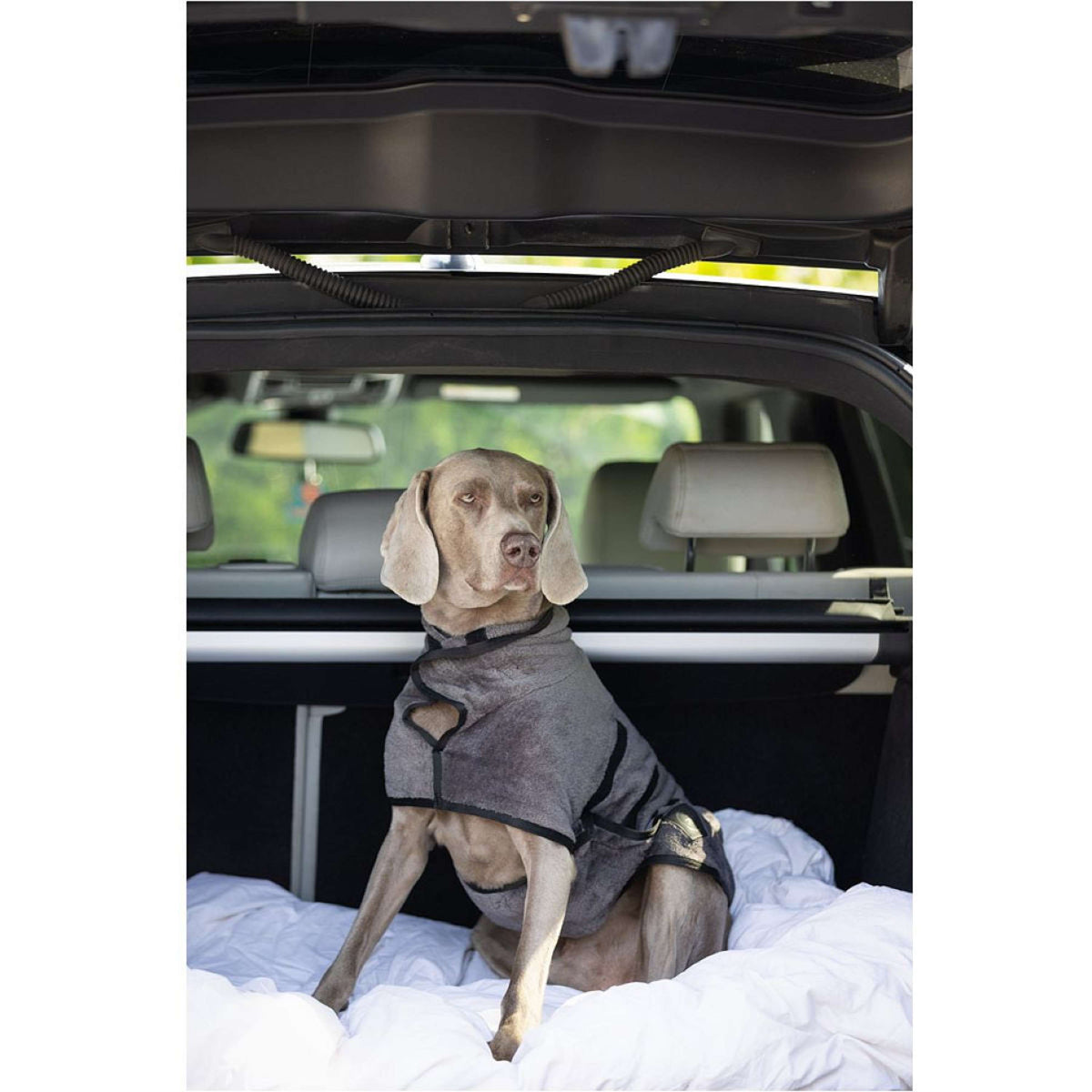 BR Peignoir Chien Grey Asphalt