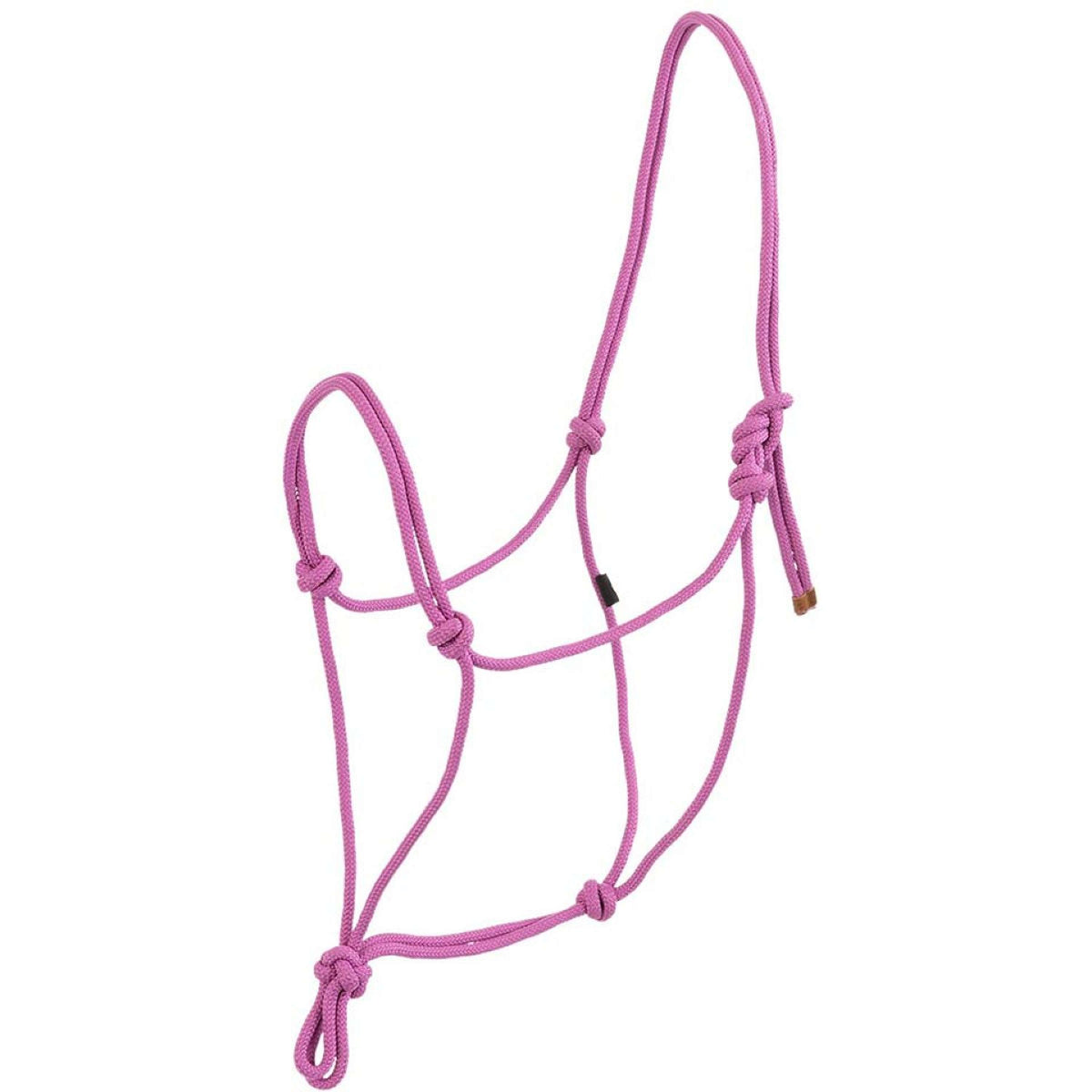 BR Licol en Corde Striking Purple