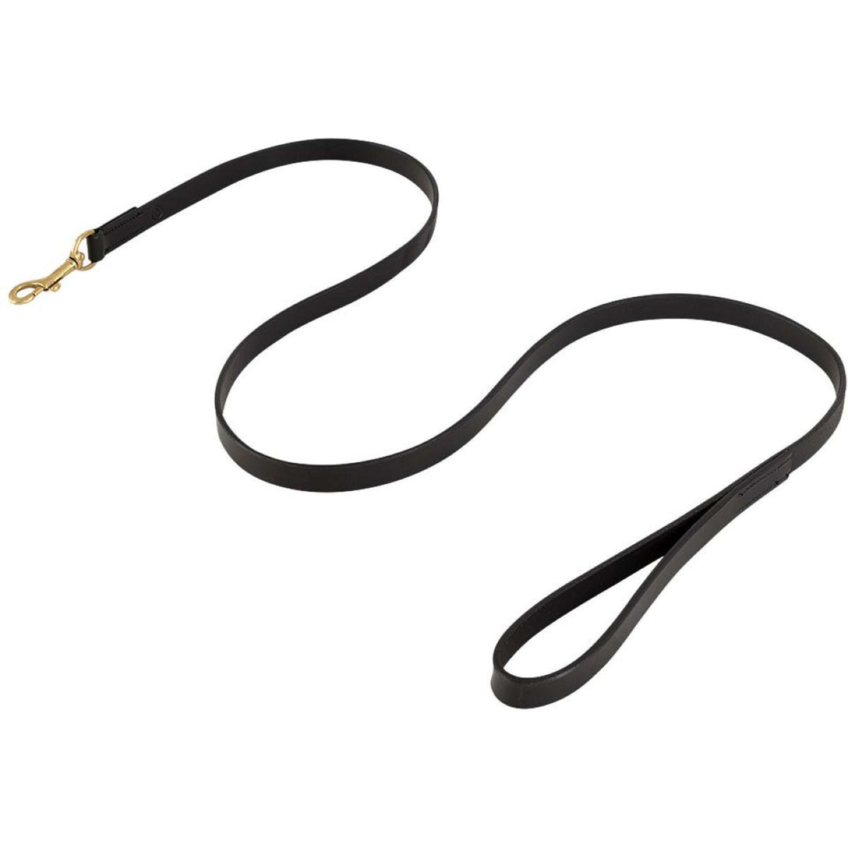 BR Laisse pour Chien Noir