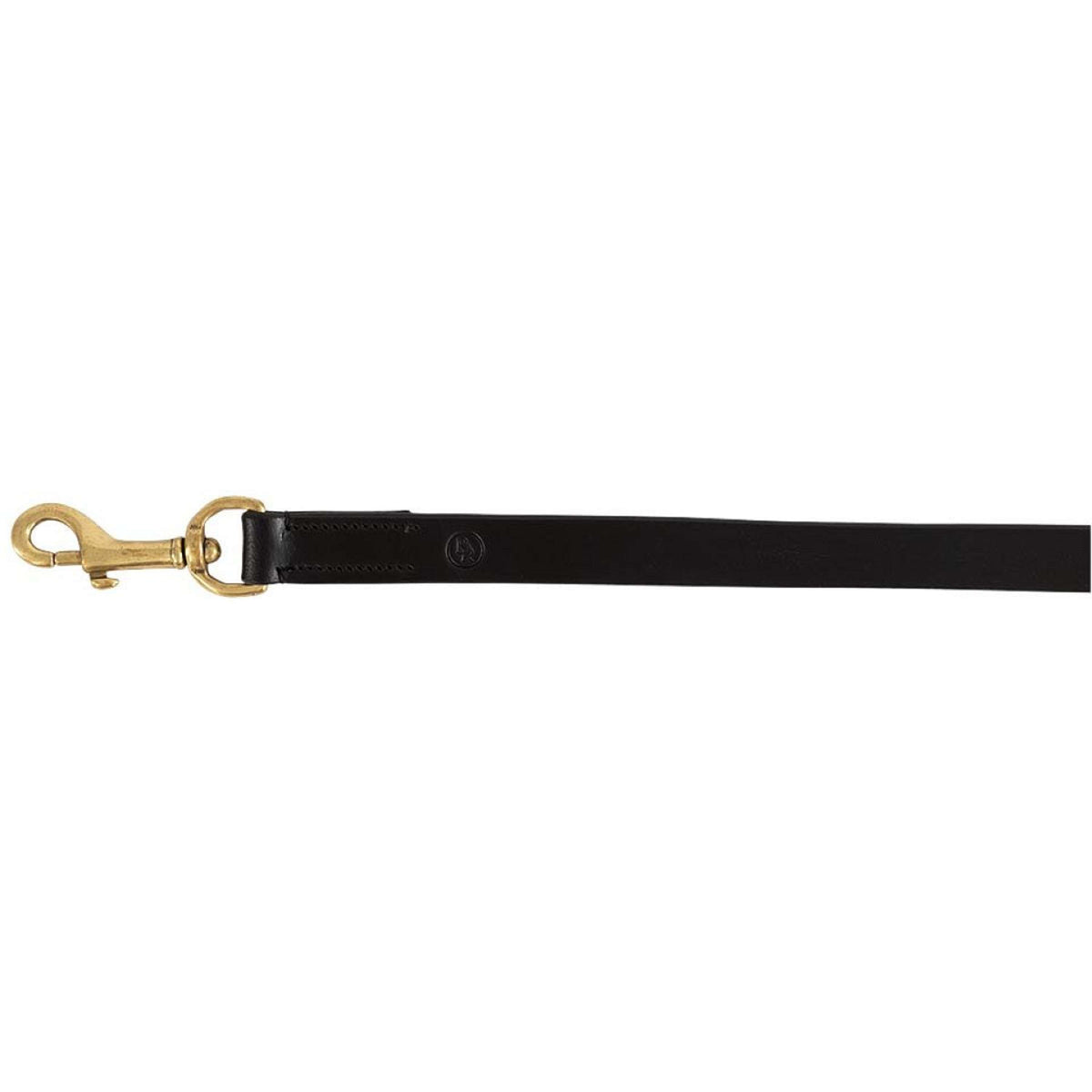 BR Laisse pour Chien Noir