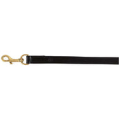 BR Laisse pour Chien Noir