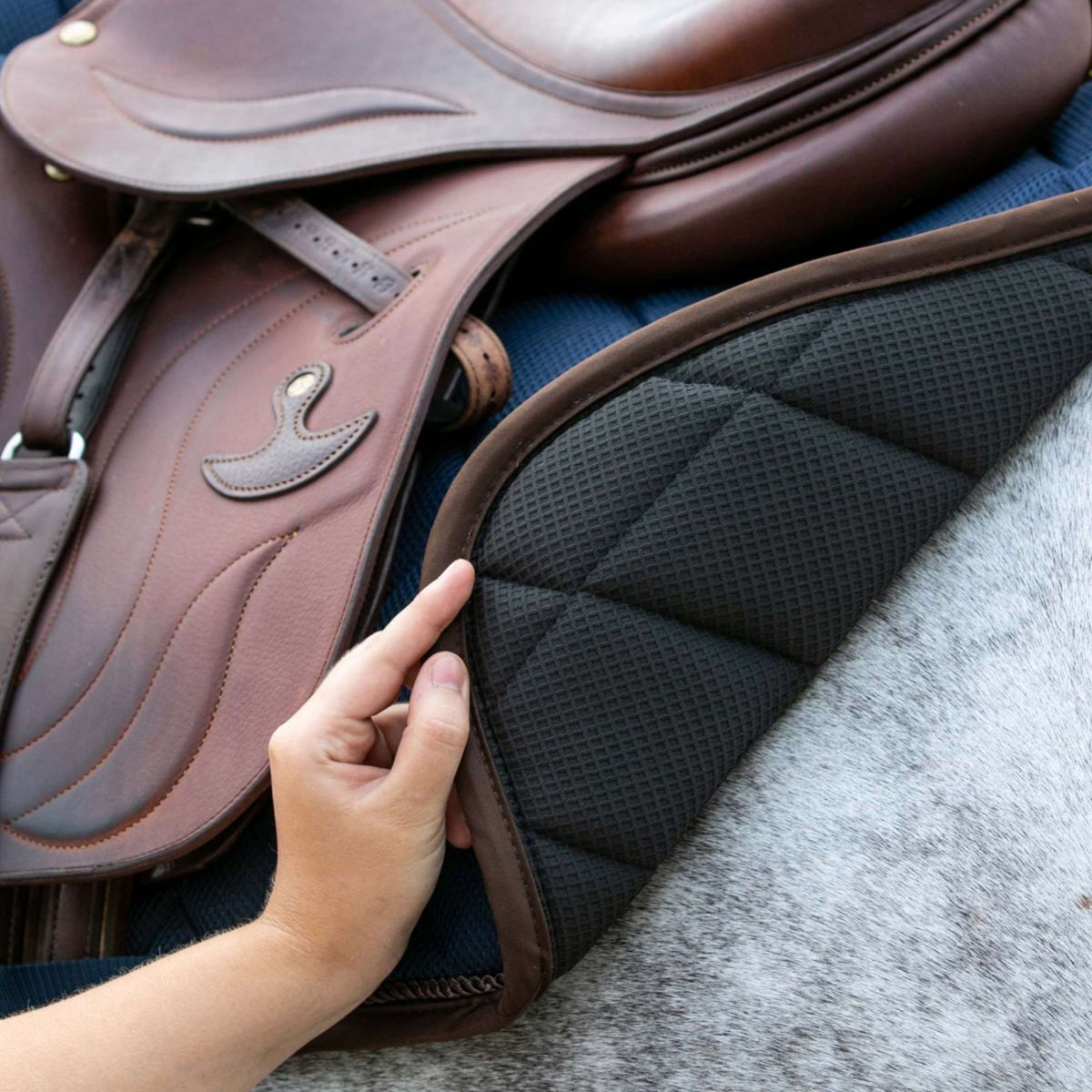 Back on Track Tapis de Selle AirFlow de Saut Bleu