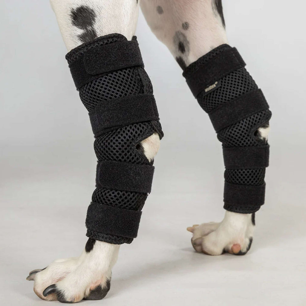 Back on Track Protecteur de jarret Dixie Chien Noir