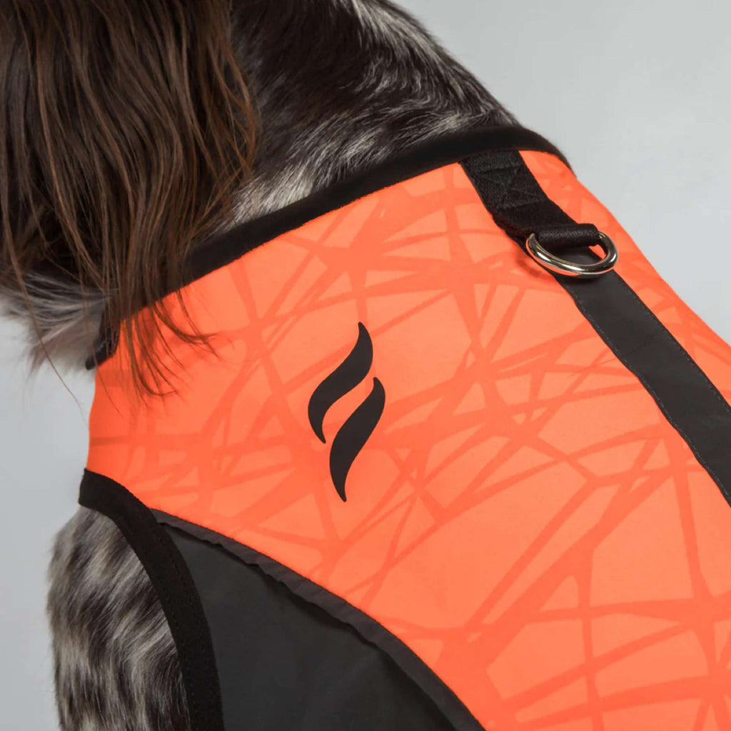 Back on Track Veste pour Chien TRAKK Réfléchissant Orange