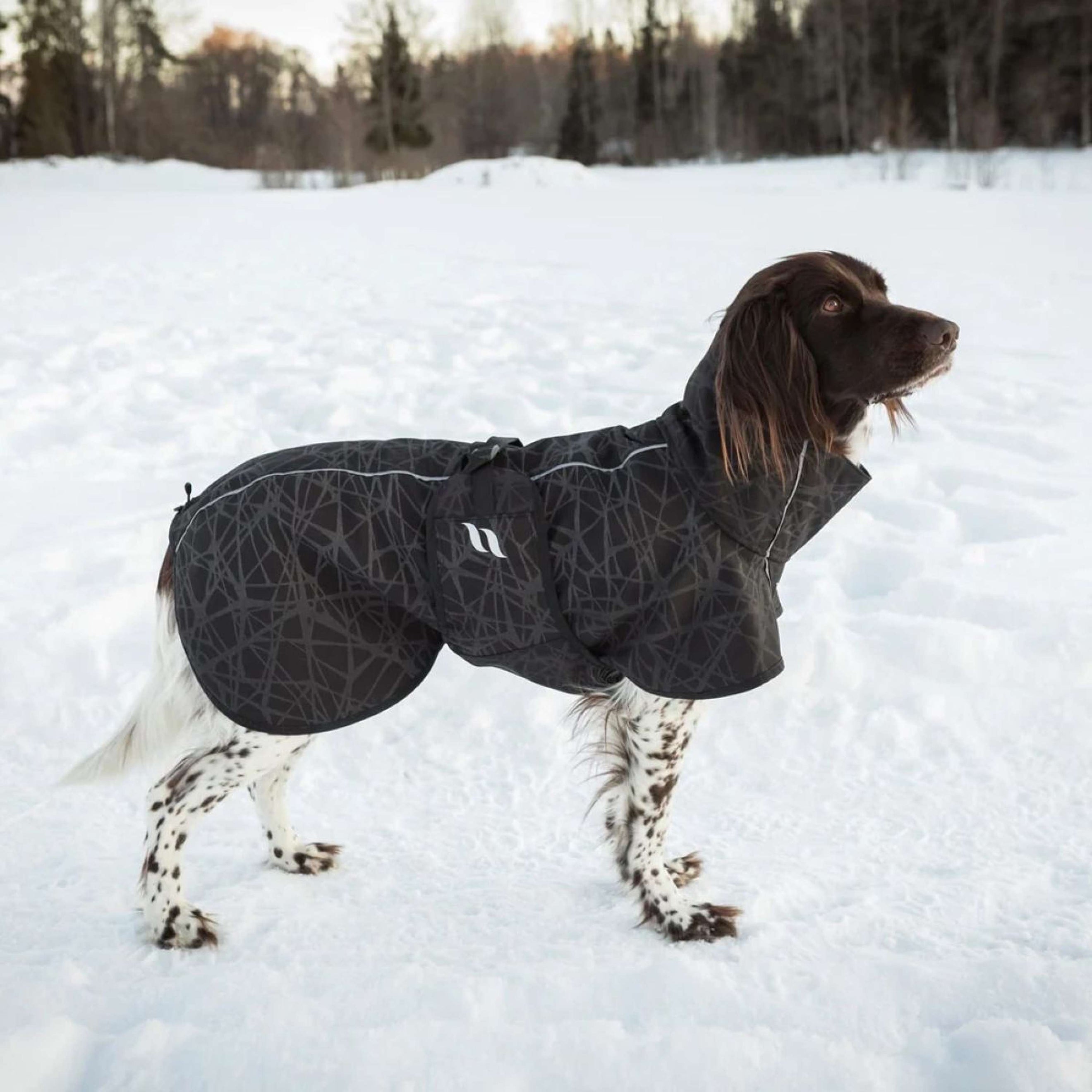 Back on Track Veste pour Chien BARK Noir/Gris