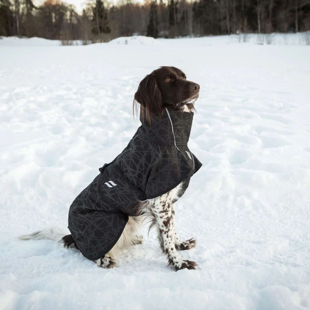 Back on Track Veste pour Chien BARK Noir/Gris
