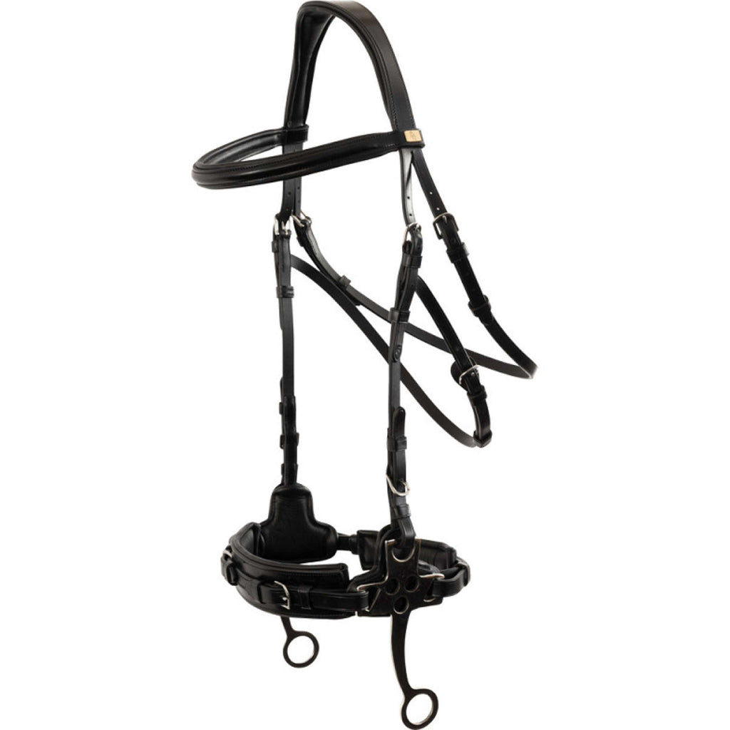 BR Hackamore Thornbury Noir/Argent