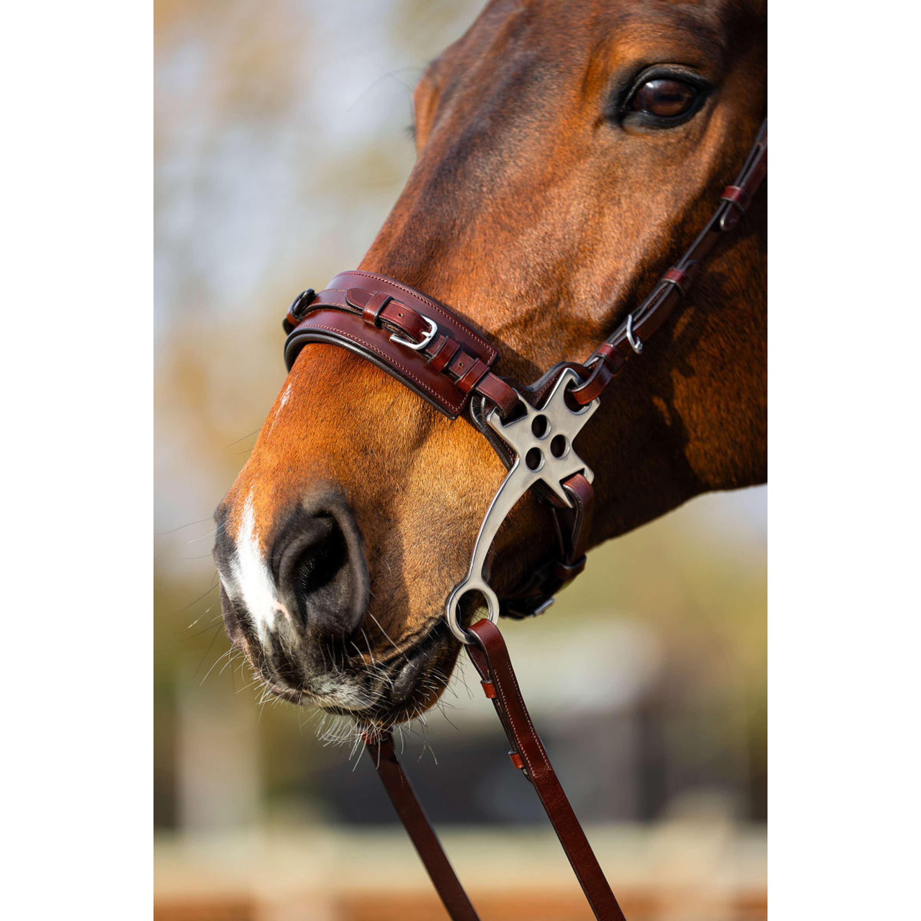 BR Hackamore Thornbury Oak/Silver