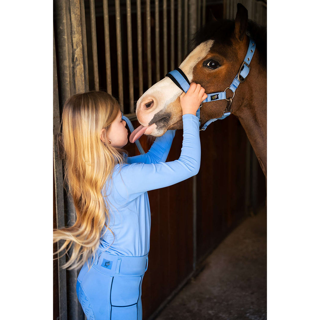 BR Ensemble Licol Mini Horse Little Blue