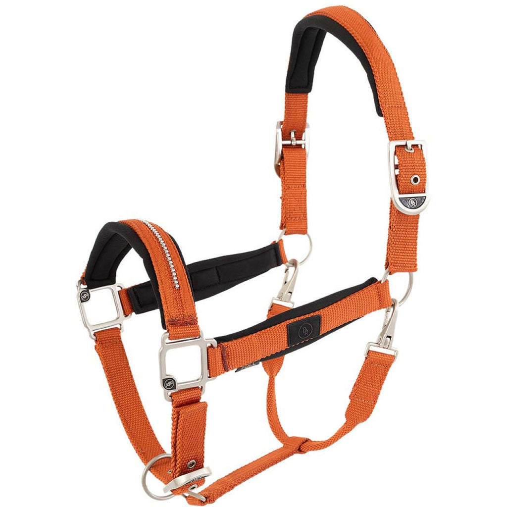 BR Licol Kimberly Néoprène Mecca Orange