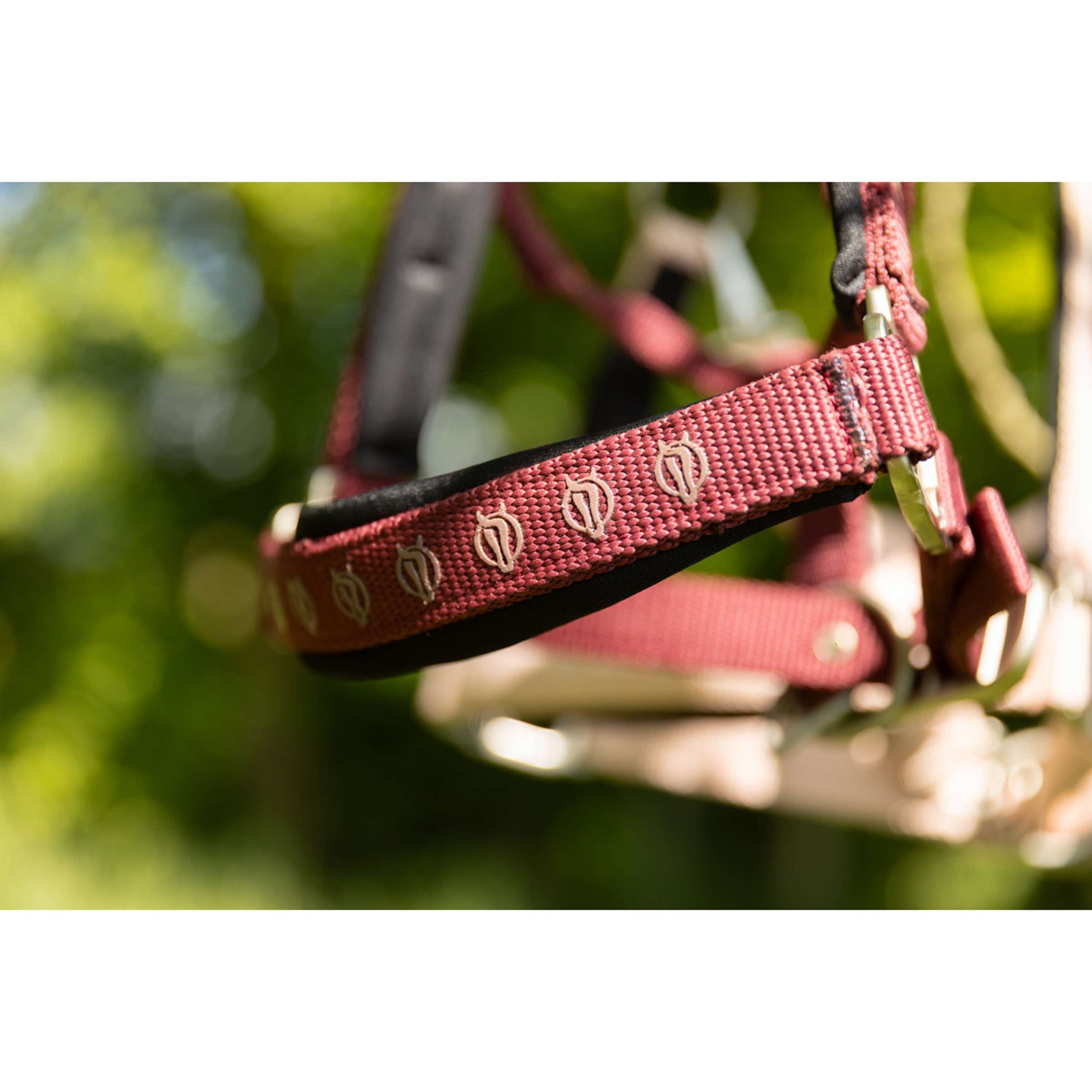 BR Licol Eevolv Karin New Maroon BR Licol Eevolv Karin New Maroon