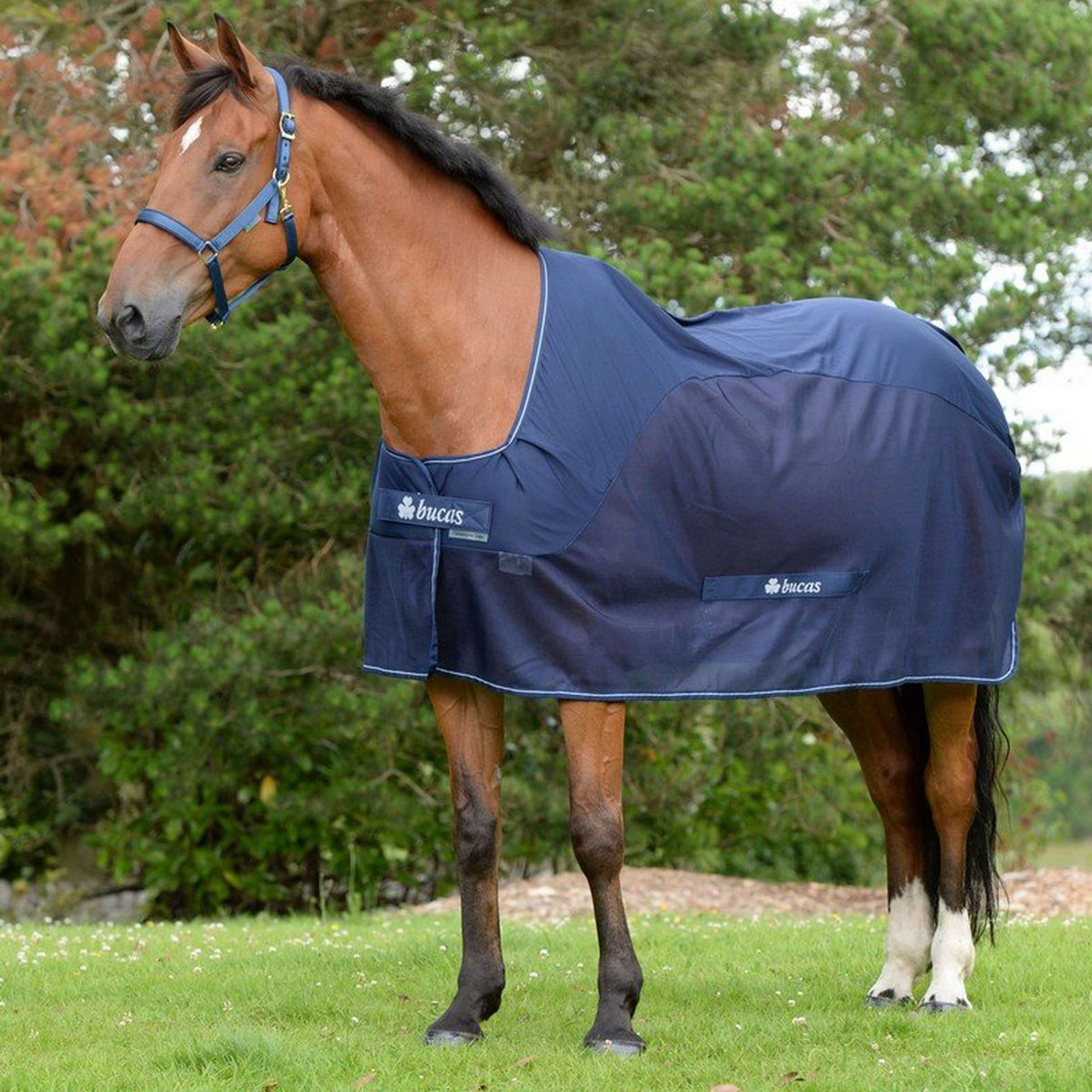 Bucas Competition Cooler Marin