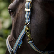 Bucas Licol Dublin Turquoise