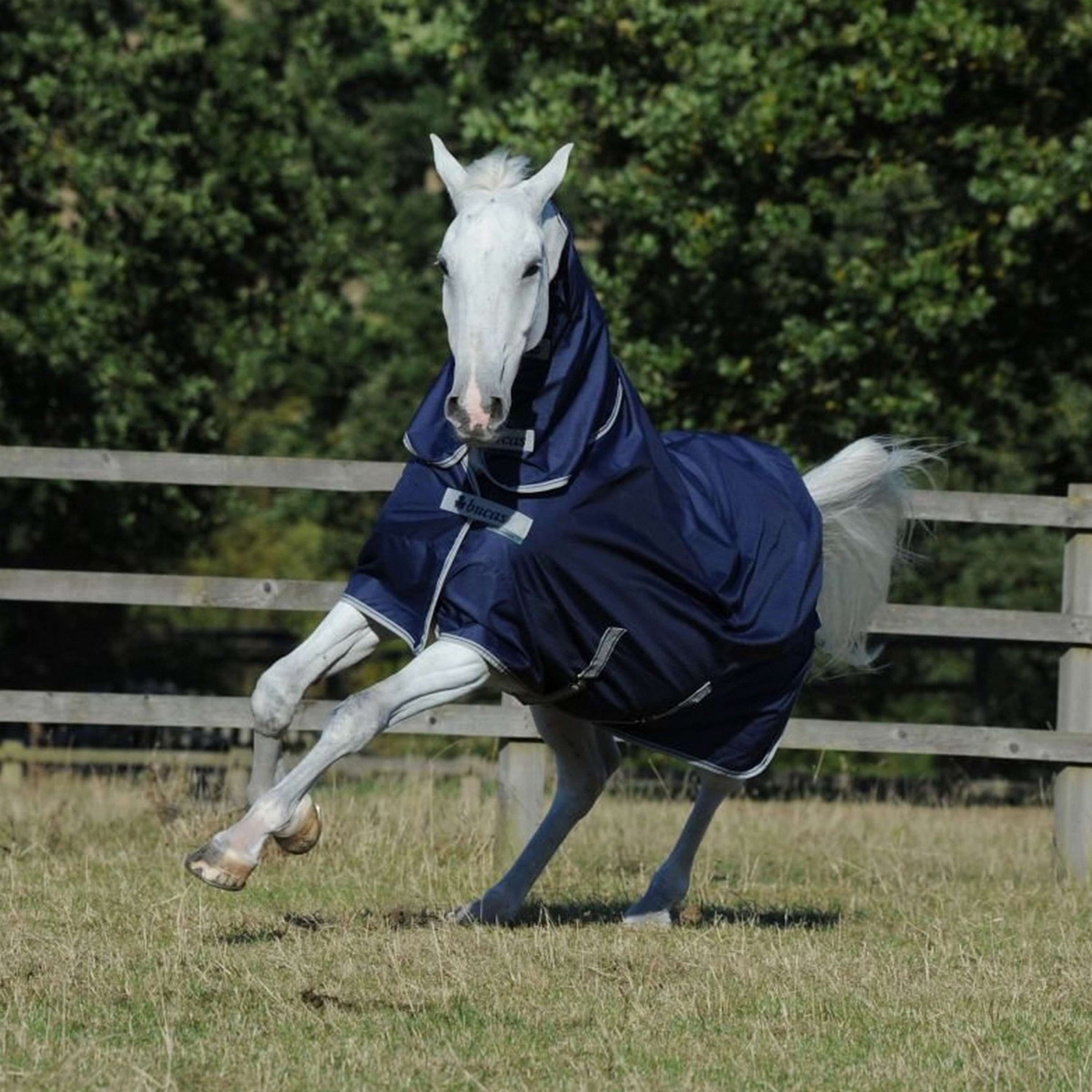 Bucas Freedom Turnout Full Neck 0g Marin