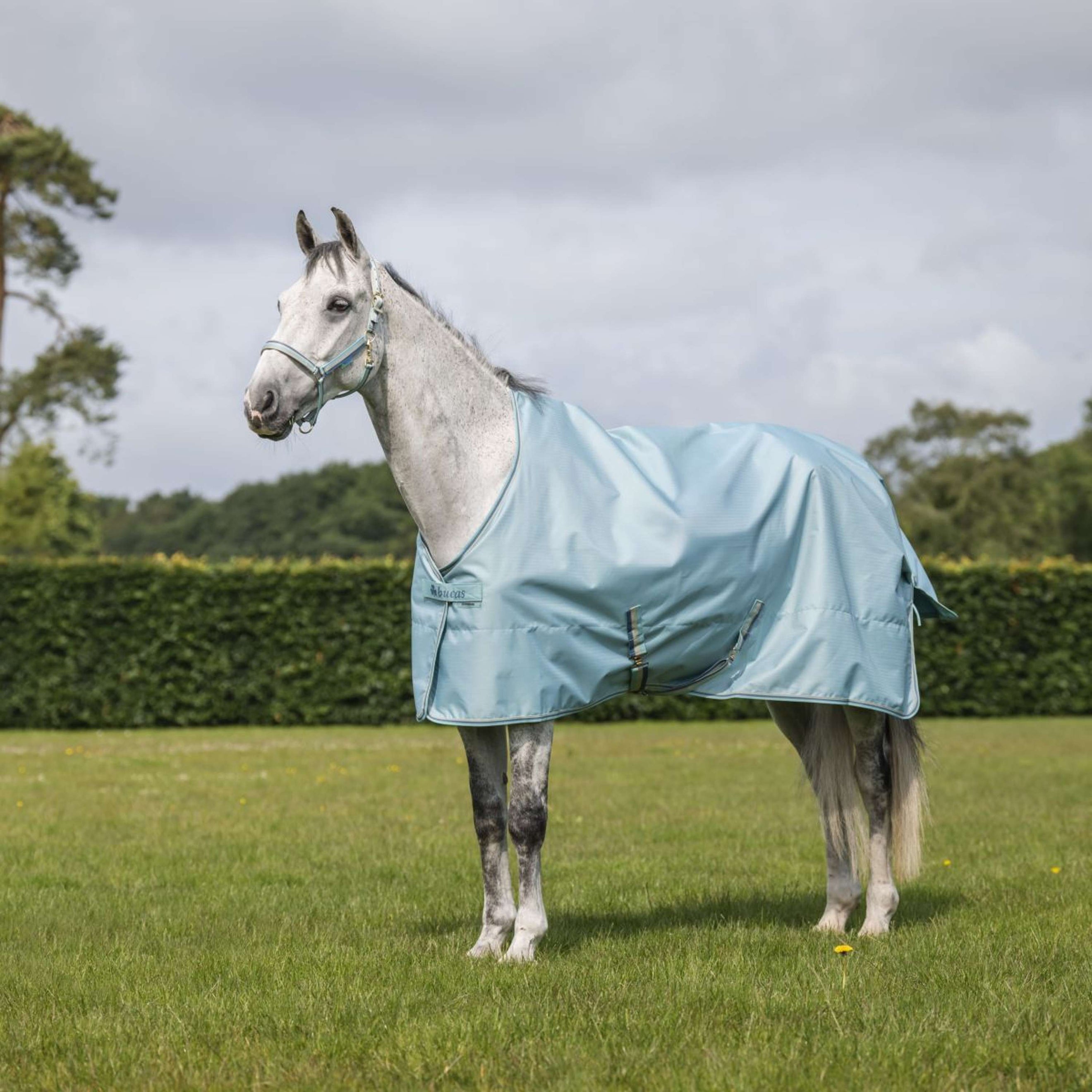 Bucas Freedom Turnout Light 0g Turquoise
