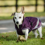 Bucas Freedom Dog Rug Blackberry