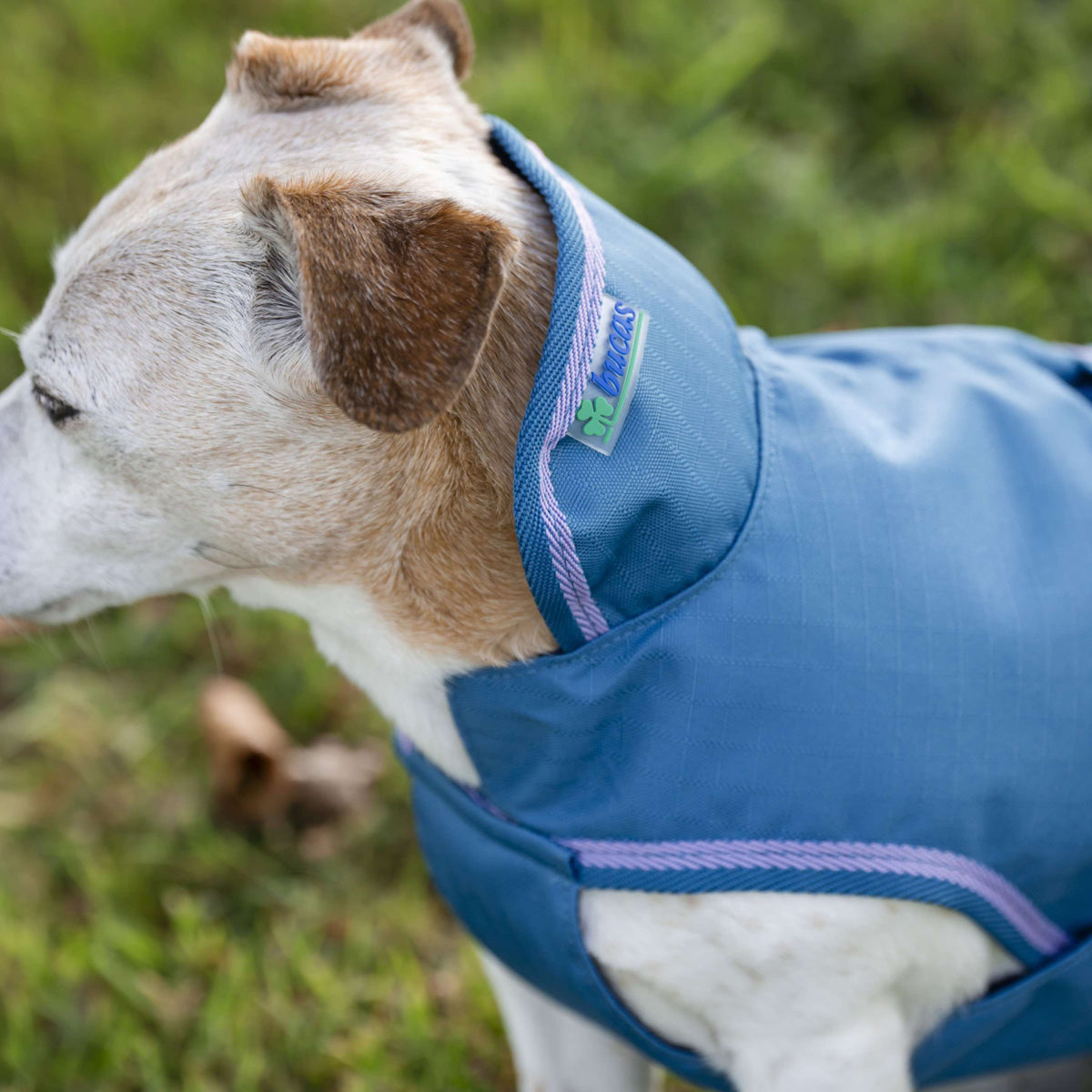 Bucas Freedom Dog Rug Blueberry